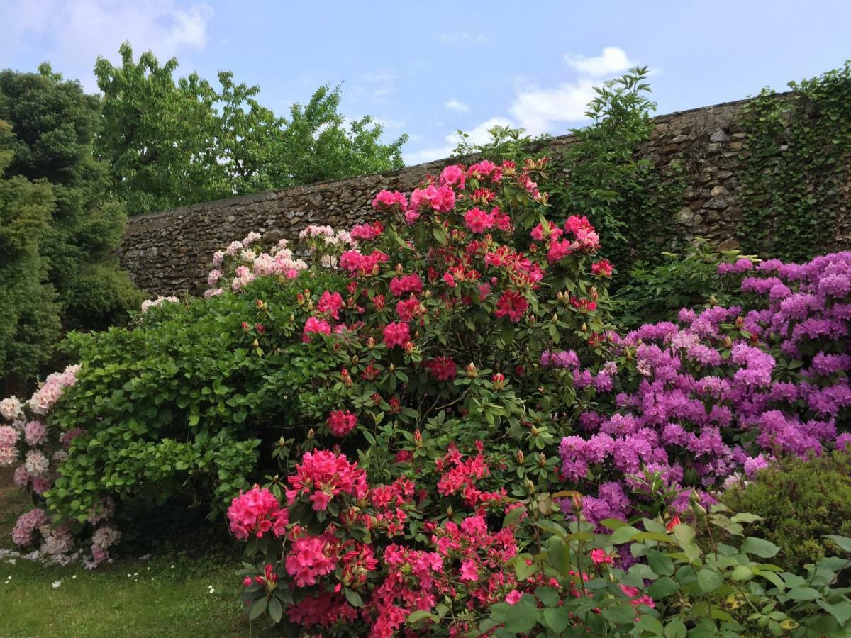 Domaine Des Trois Chateaux Moisenay Exterior foto